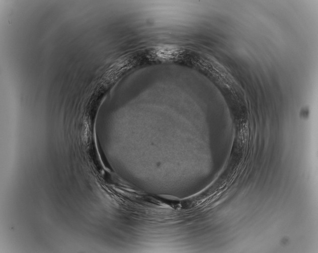 X0000098190651200805081049