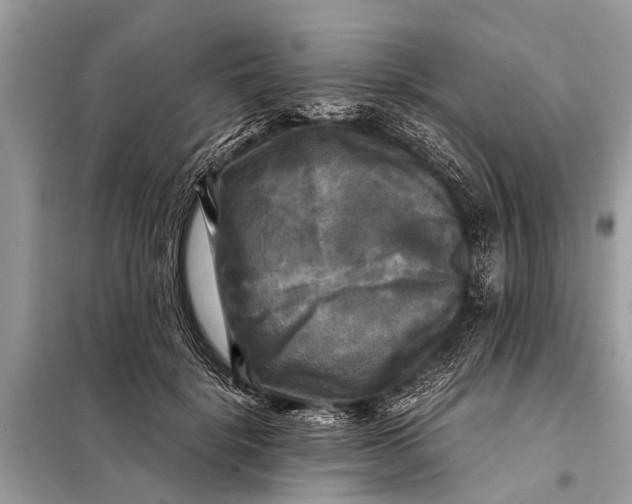 X0000098190652200805081049