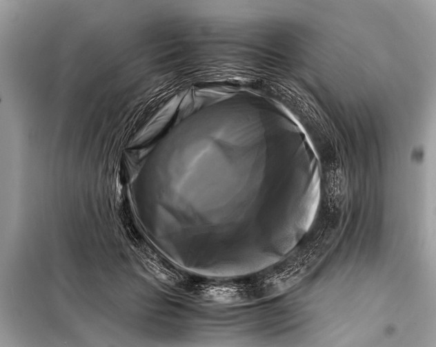 X0000098190653200805081049