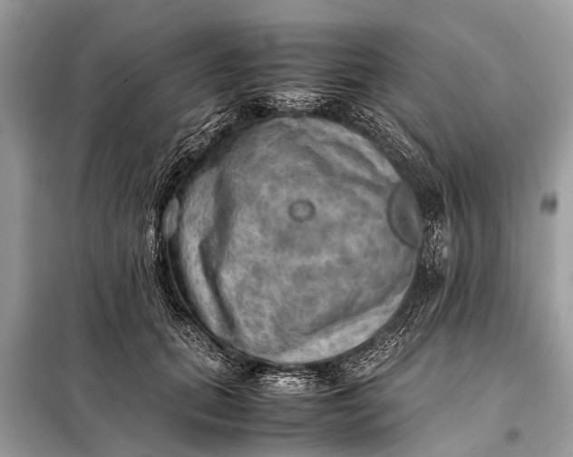 X0000098190655200805081049
