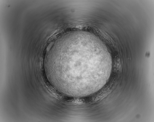 X0000098190656200805081049
