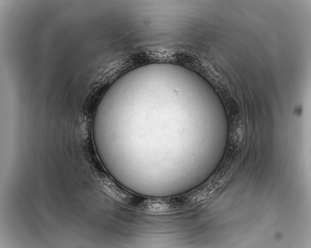 X0000098190658200805081049