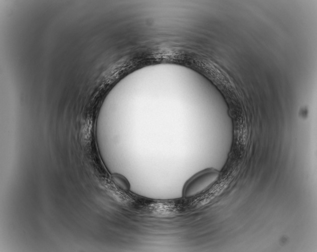 X0000098190660200805081049