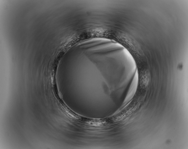 X0000098190661200805081049