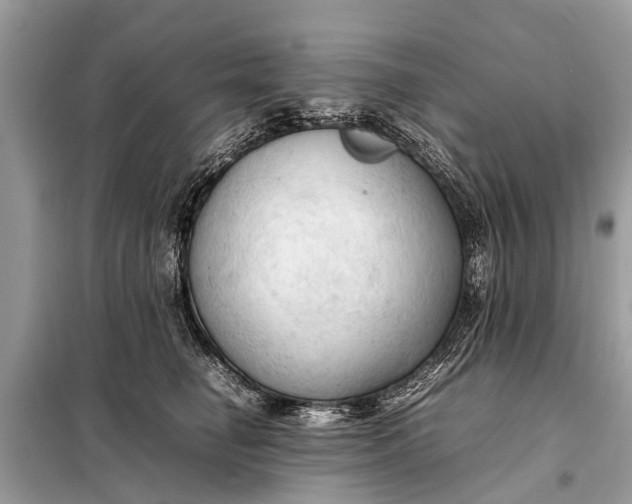 X0000098190662200805081049