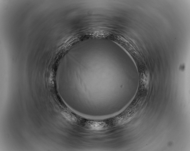 X0000098190663200805081049