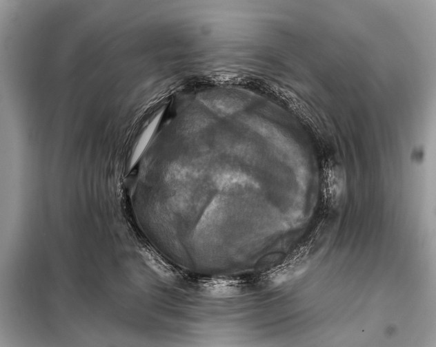 X0000098190664200805081049