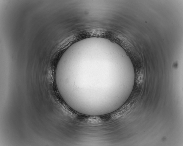 X0000098190666200805081049