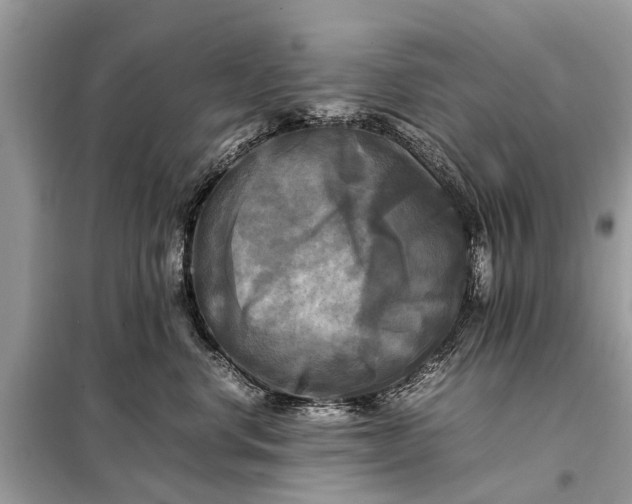 X0000098190668200805081049