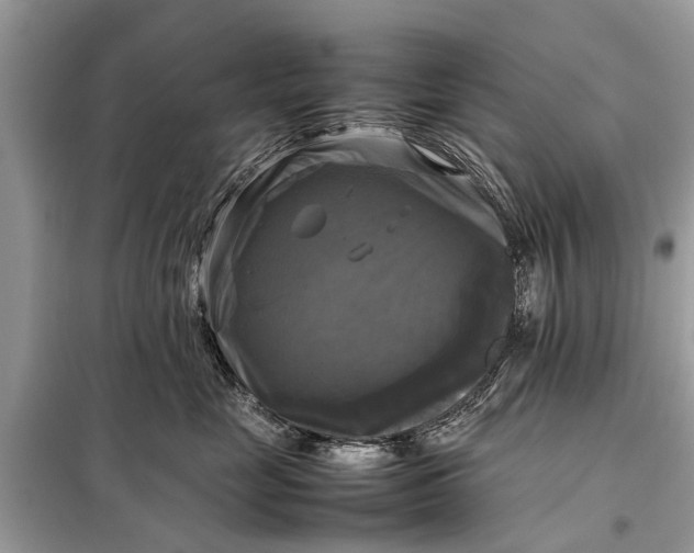 X0000098190669200805081049