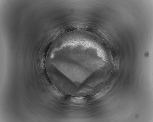 X0000098190671200805081049