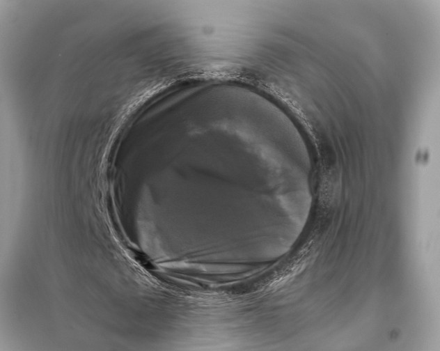 X0000098190673200805081048