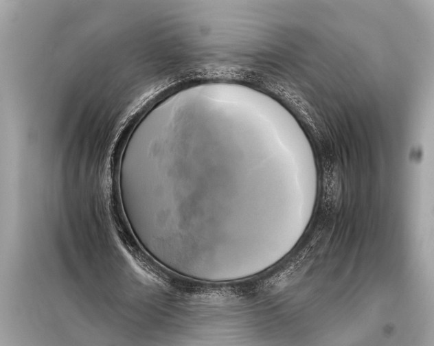 X0000098190674200805081048