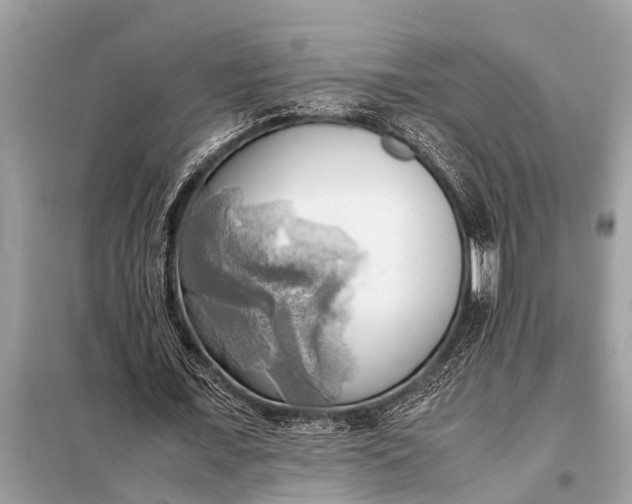 X0000098190675200805081048