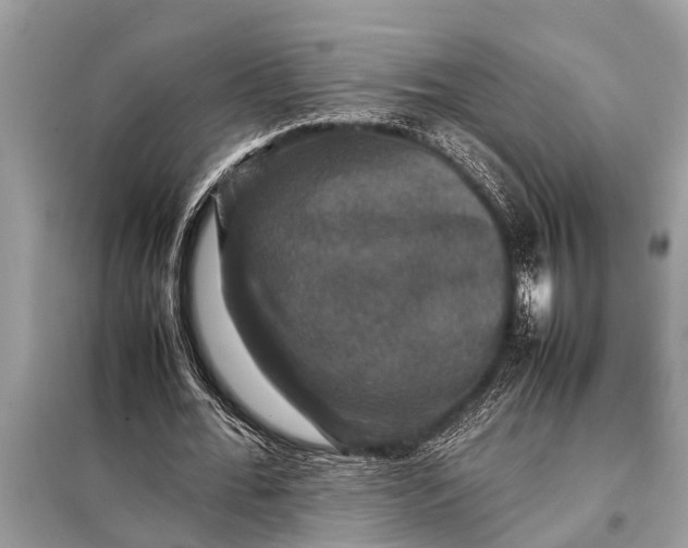 X0000098190676200805081048