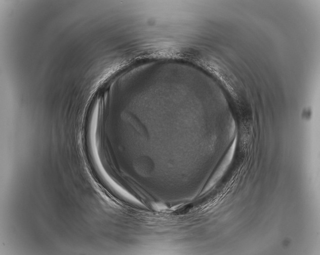 X0000098190677200805081048