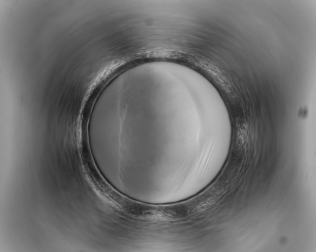 X0000098190678200805081048