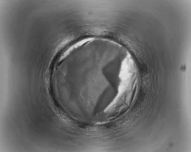 X0000098190679200805081048