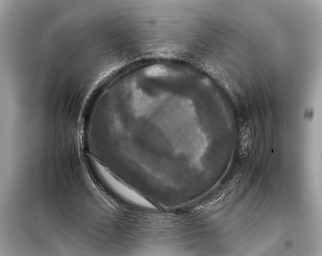 X0000098190680200805081048