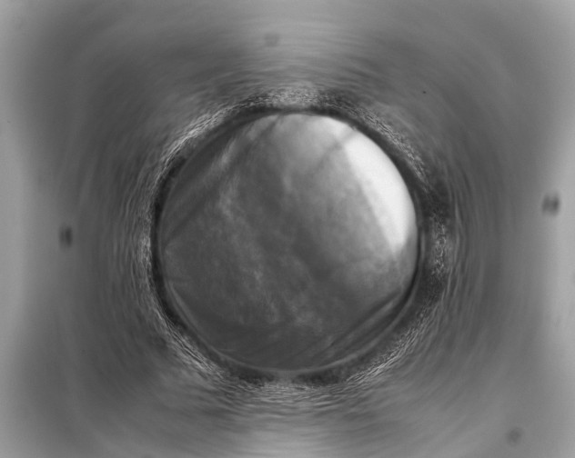 X0000098190681200805081048