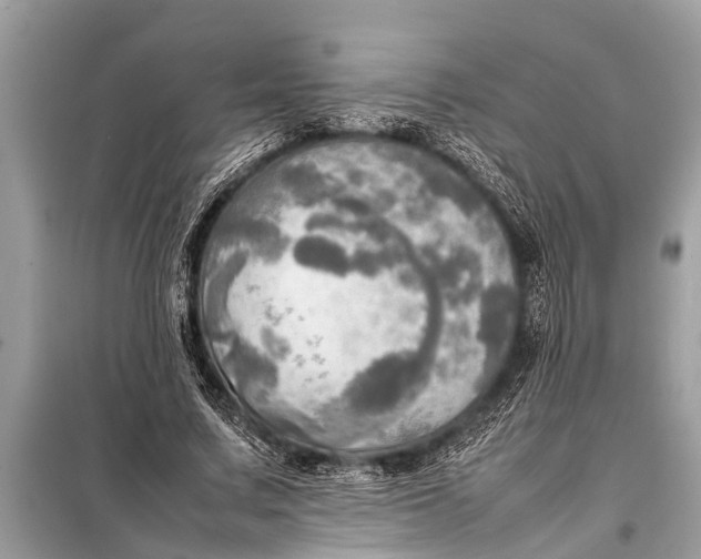 X0000098190683200805081048