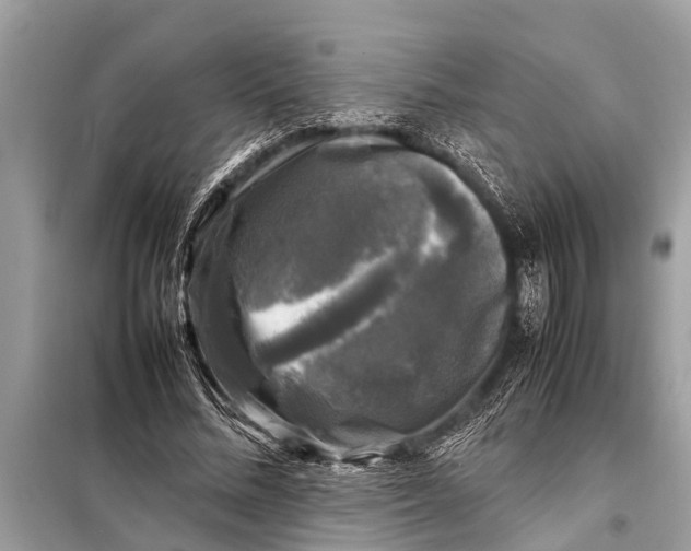 X0000098190684200805081048