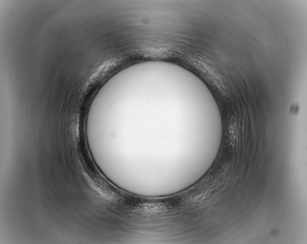 X0000098190686200805081048