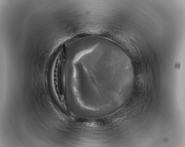 X0000098190688200805081048