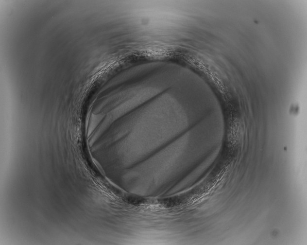 X0000098190689200805081048