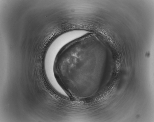 X0000098190691200805081048