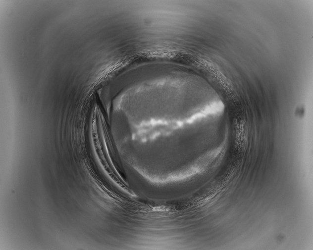 X0000098190692200805081048