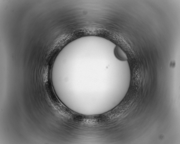 X0000098190694200805081048