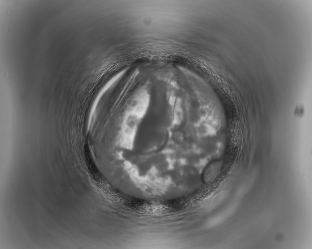 X0000098190695200805081048