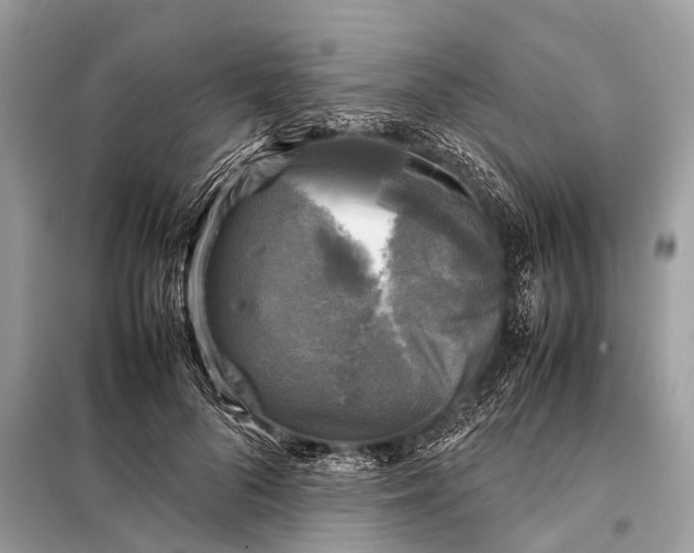 X0000098190696200805081048
