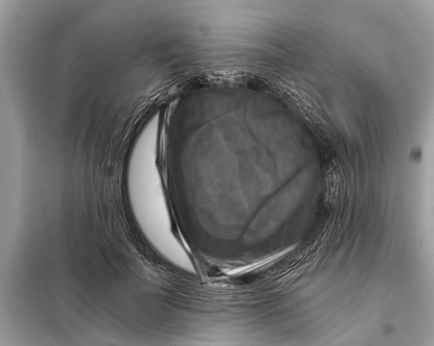 X0000098190699200805081048