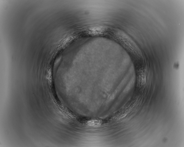 X0000098190700200805081048