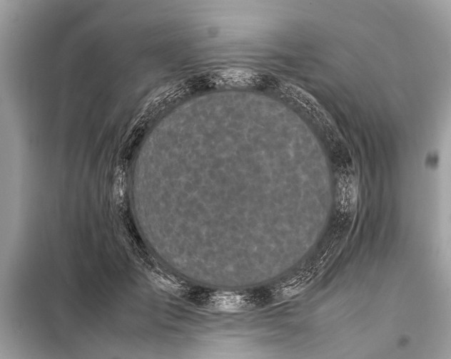 X0000098190701200805081048