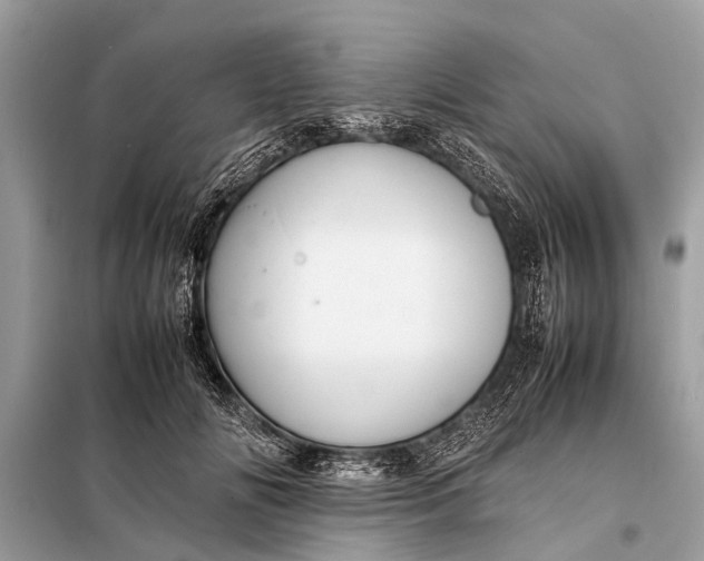 X0000098190702200805081048