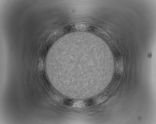 X0000098190705200805081048