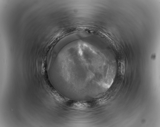 X0000098190712200805081048