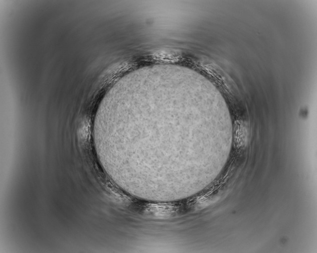 X0000098190713200805081048