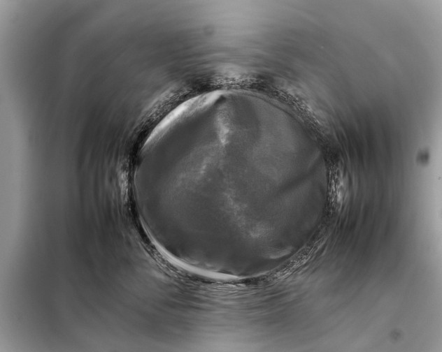 X0000098190716200805081048