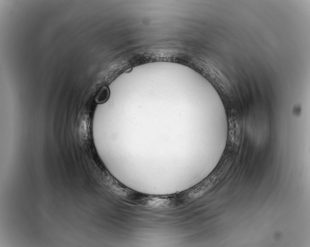 X0000098190718200805081048