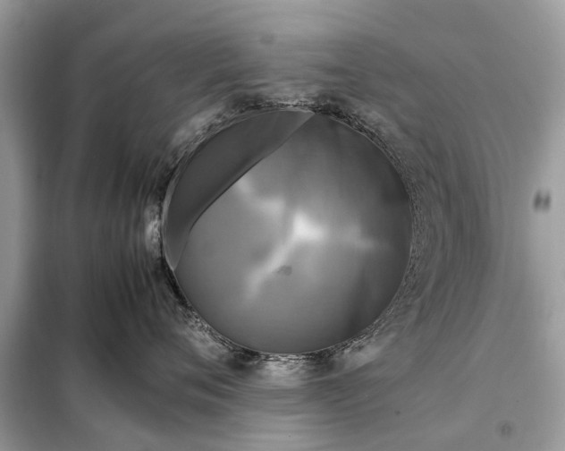 X0000098190720200805081048