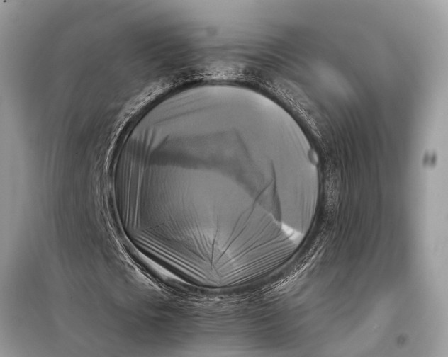 X0000098190721200805081047