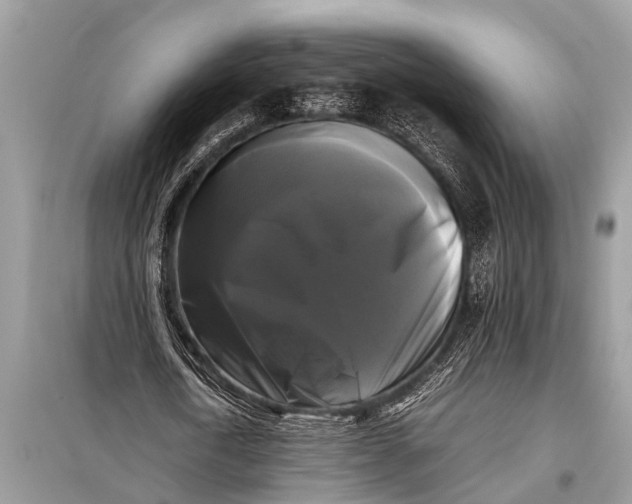 X0000098190722200805081047