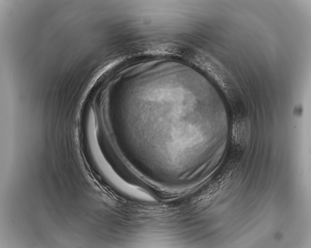 X0000098190724200805081047