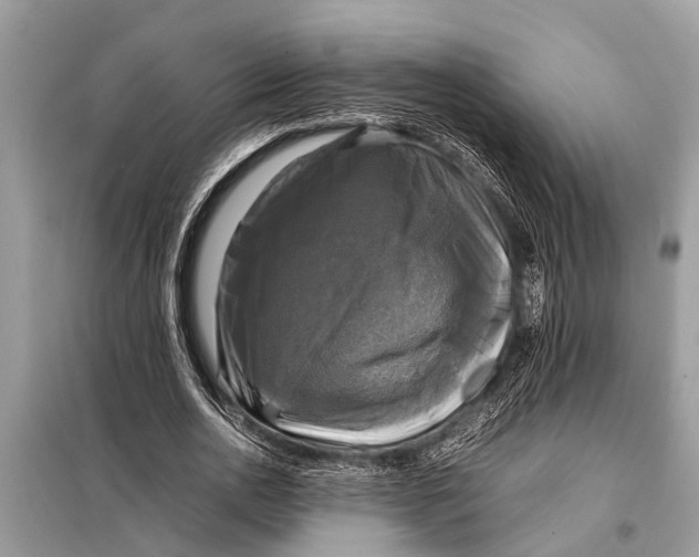 X0000098190726200805081047