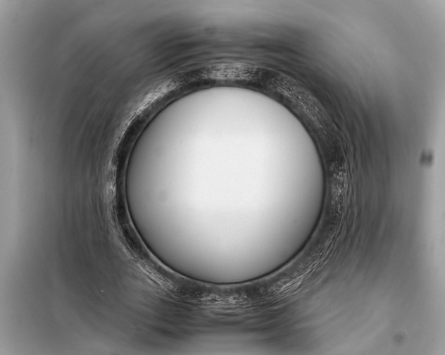 X0000098190727200805081047