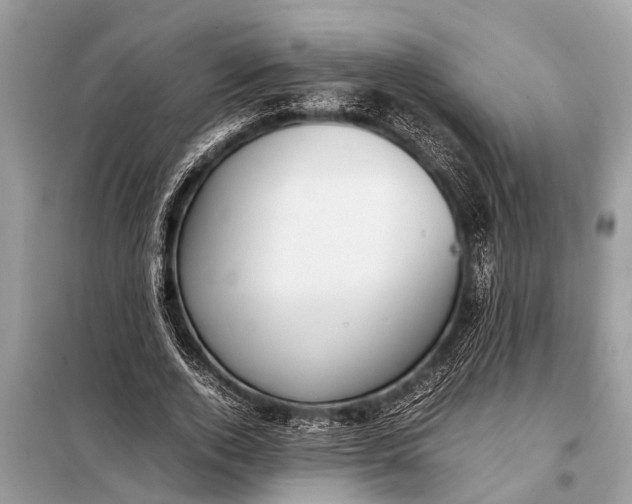 X0000098190728200805081047
